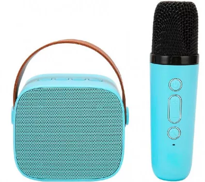 P2 Microphone and Speaker P2