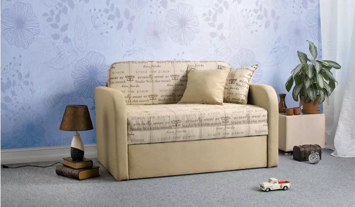 Canapea extensibila Gnom М