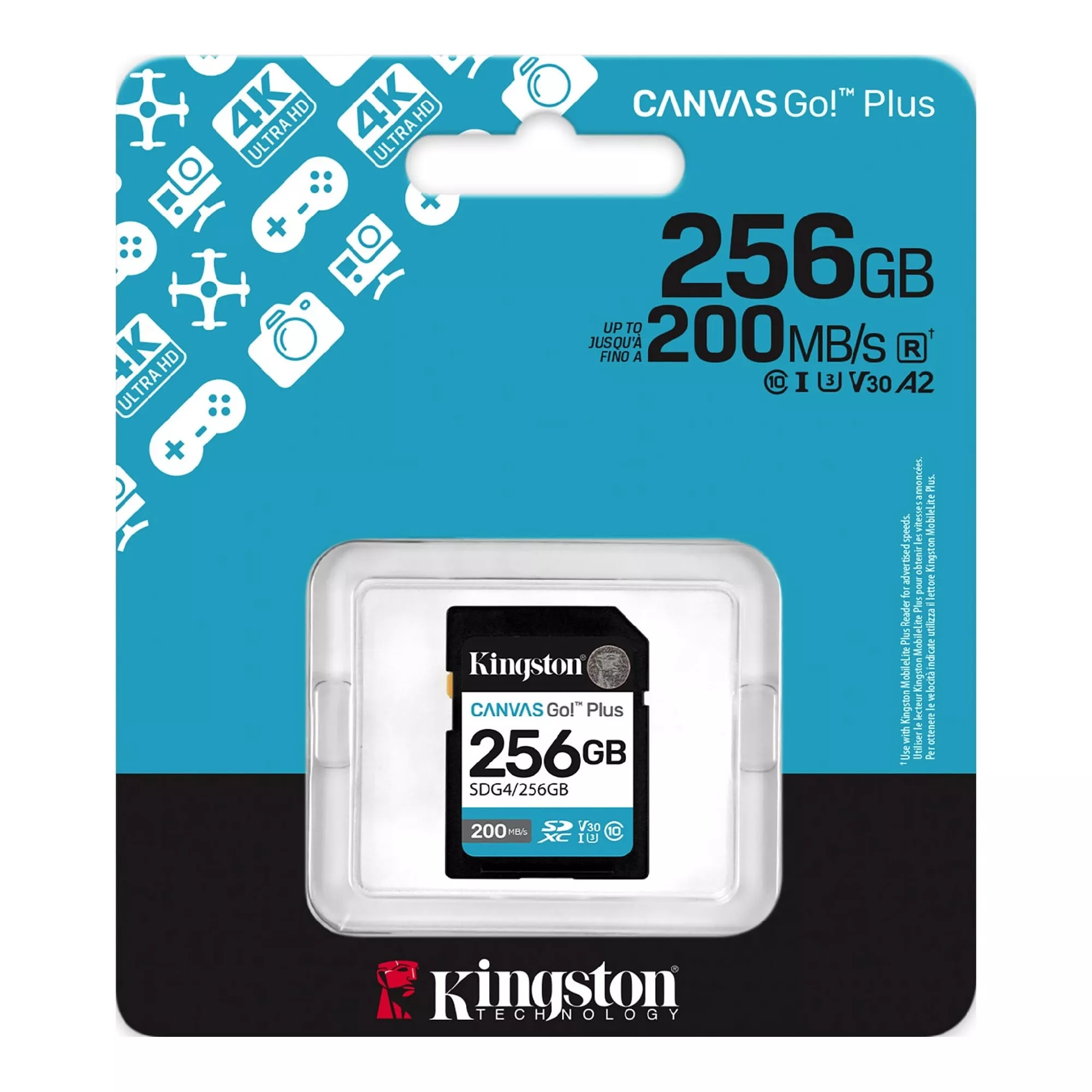 Kingston SDG4/256GB