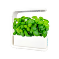 Гидропонная система Green Grow (PLD1001-WHT), 3 Spatii — купить в Кишинёве | Бытовые товары | Hi-Tech Moldova