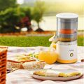 Storcator de fructe Zilan ZLN4079 — cumpără în Chișinău | Storcătoare de fructe și legume | Hi-Tech Moldova