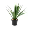 Planta artificiala Aloe Vera in ghiveci Vicko 32 cm,(1466-00023) — cumpără în Chișinău | Vaze, flori, figurine, tablouri | Hi-Tech Moldova