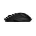 Mouse Wireless HP 250 Dual (6V2J7AA) — cumpără în Chișinău | WRLS | Hi-Tech Moldova
