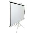Экран для проектора Elite Screens 119"(1:1) 214x214 cm (T119NWS1) — купить в Кишинёве | Экраны для проекторов | Hi-Tech Moldova