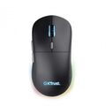 Mouse Gaming Trust GXT 926 Redex II (TR_25126) — cumpără în Chișinău | USB | Hi-Tech Moldova