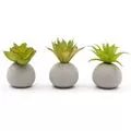 Planta suculenta artificiala in ghiveci Vicko 7.5 cm,(1468-00004) — cumpără în Chișinău | Vaze, flori, figurine, tablouri | Hi-Tech Moldova