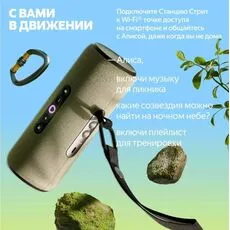 Умная колонка Yandex Street, Verde (YNDX-00030GRN) — купить в Кишинёве | Яндекс.Станции | Hi-Tech Moldova