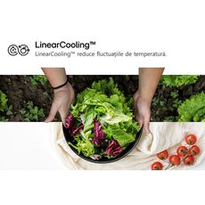 Frigider LG GBV5250EPY — cumpără în Chișinău | Cu compartiment de congelare jos | Hi-Tech Moldova