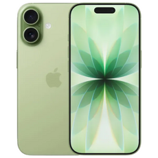 Apple iPhone 17 256GB Sage A3520  — cumpără în Chișinău | Smartphone-uri  | Hi-Tech Moldova