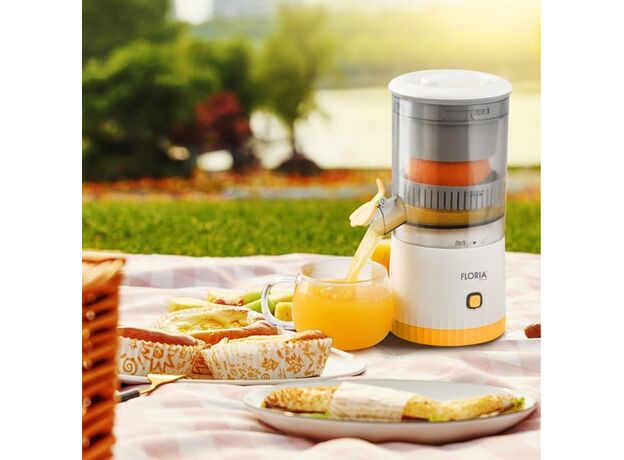Storcator de fructe Zilan ZLN4079 — cumpără în Chișinău | Storcătoare de fructe și legume | Hi-Tech Moldova