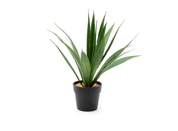 Planta artificiala Aloe Vera in ghiveci Vicko 32 cm,(1466-00023) — cumpără în Chișinău | Vaze, flori, figurine, tablouri | Hi-Tech Moldova
