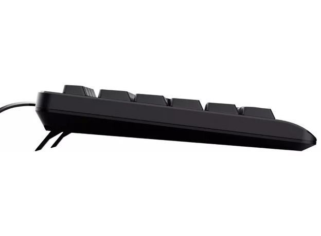 Клавиатура Trust Primo TR_23880 Black — купить в Кишинёве | Клавиатуры и комплекты | Hi-Tech Moldova