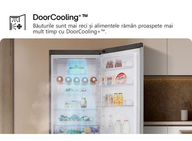 Frigider LG GBV5250EPY — cumpără în Chișinău | Cu compartiment de congelare jos | Hi-Tech Moldova