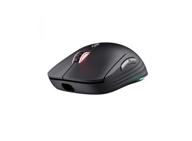 Mouse Gaming Trust GXT 926 Redex II (TR_25126) — cumpără în Chișinău | USB | Hi-Tech Moldova